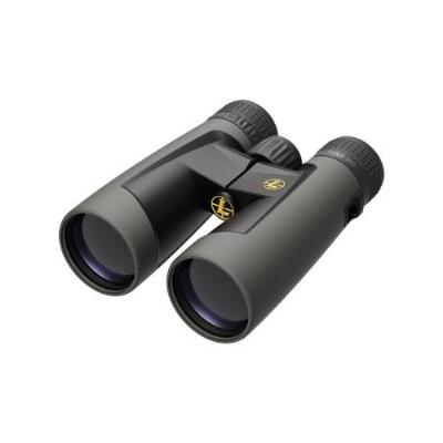 LEUPOLD BX-2 Alpine HD Fernglas 10X42 ROOF - image