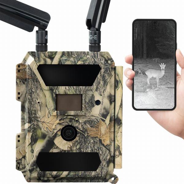 DÖRR Wild/Überwachungskamera SnapShot Cloud 4G